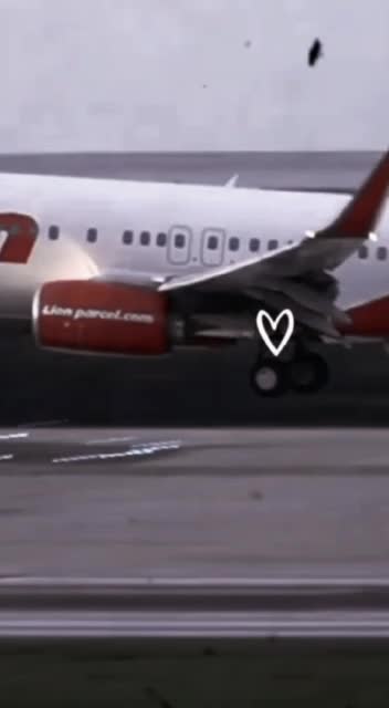 Pesawat nya emang ga se kece yang lain tapi kalo pramugari ny kece dari pada yng lain😭🙏🏻