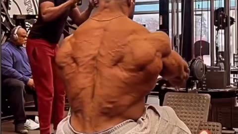 Muscularity