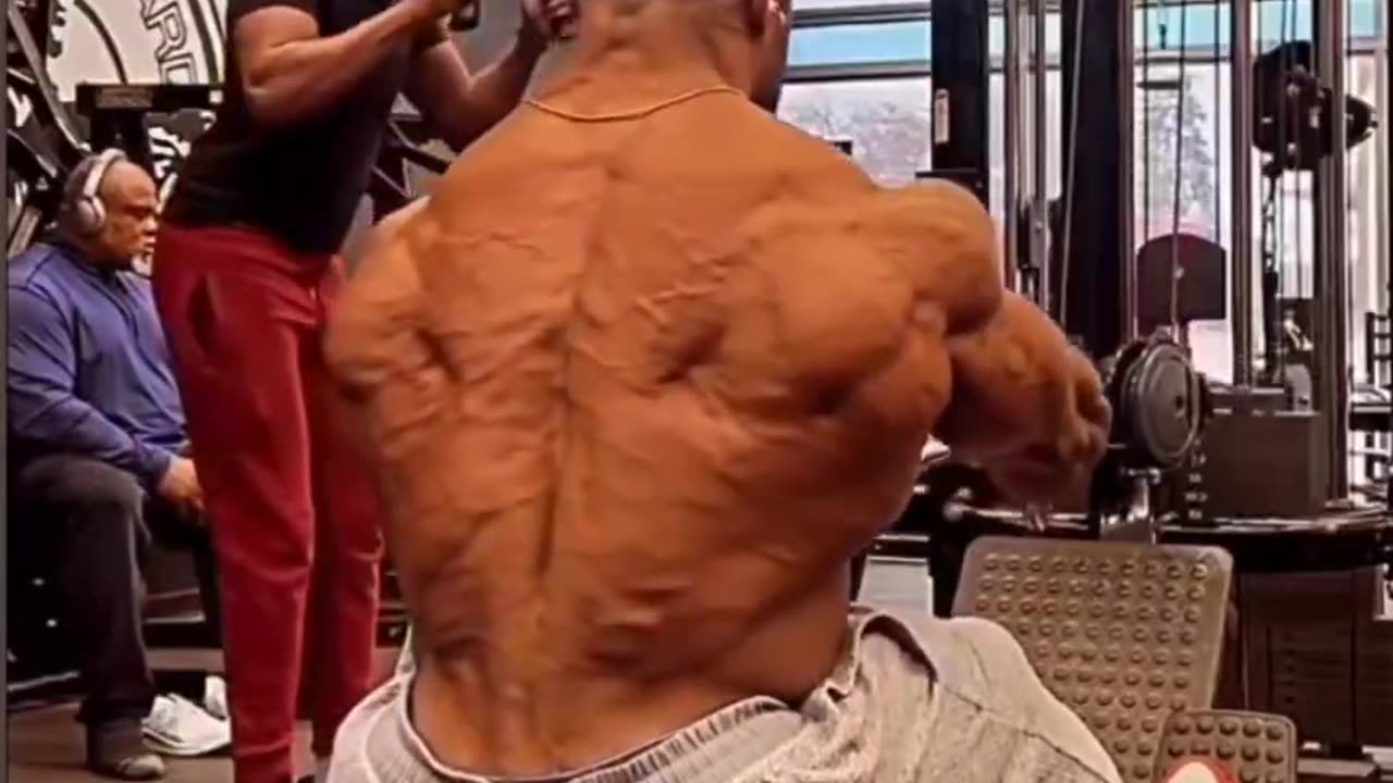 Muscularity