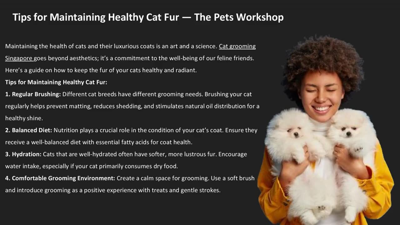 Tips for Maintaining Healthy Cat Fur — The Pets Workshop