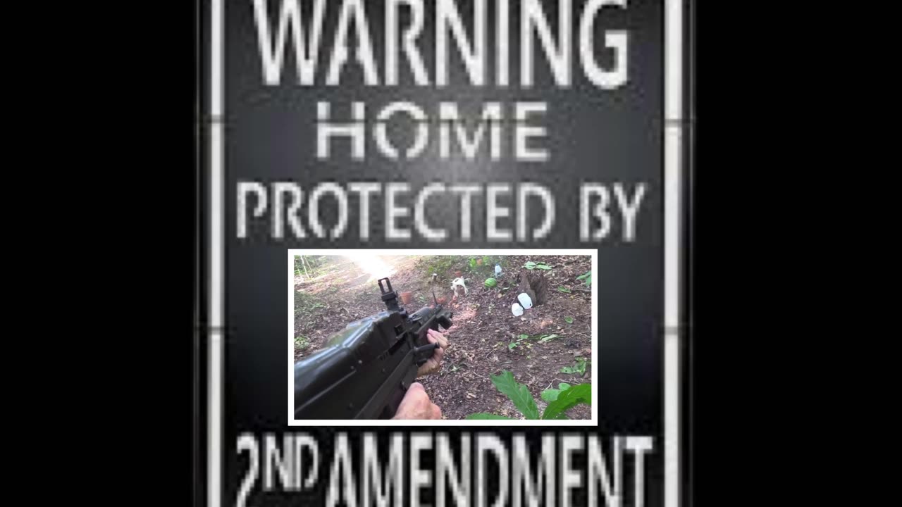 Home Protection Pepe Fun