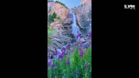 Relaxing Music | Sleeping, Meditation, Stress Relief | [6077] ⭐️