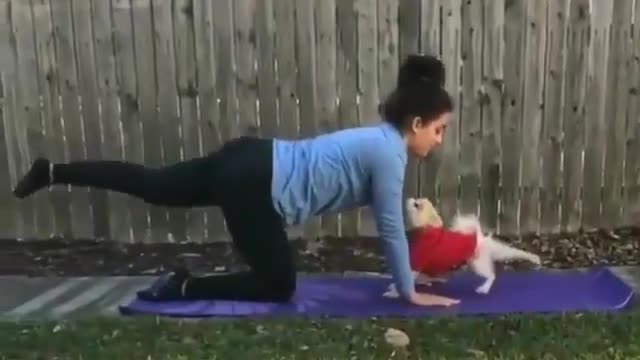 Pet yoga