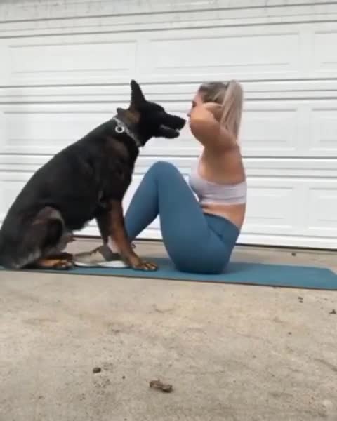 This Doggy Turns Out To Be The Perfect Personal Trainer