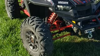 2019 rzr