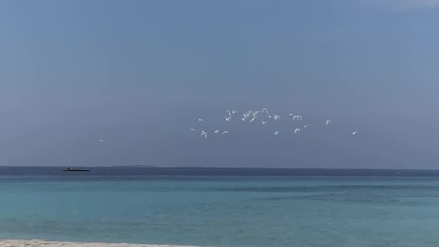 View of the Beach shore and the Blue Sea
