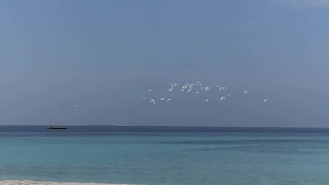 View of the Beach shore and the Blue Sea