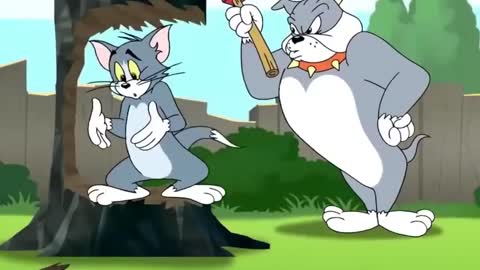 Tom and Jerry show