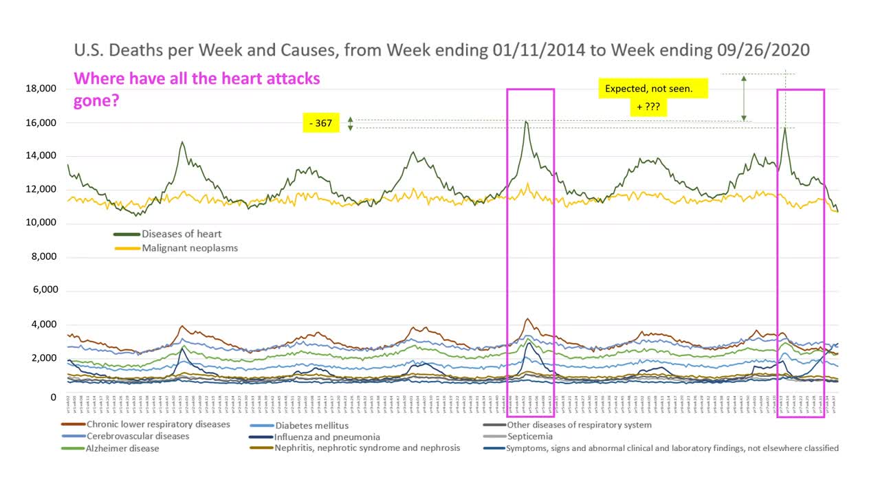 COVID-19 Deaths: A look at US deaths