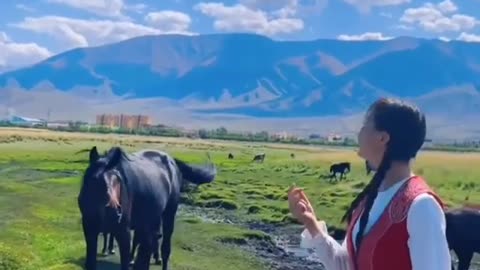 Beautiful video Girl with Horse