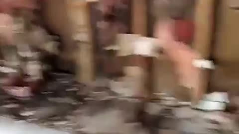 GUT OUT AN CLEAN OUT