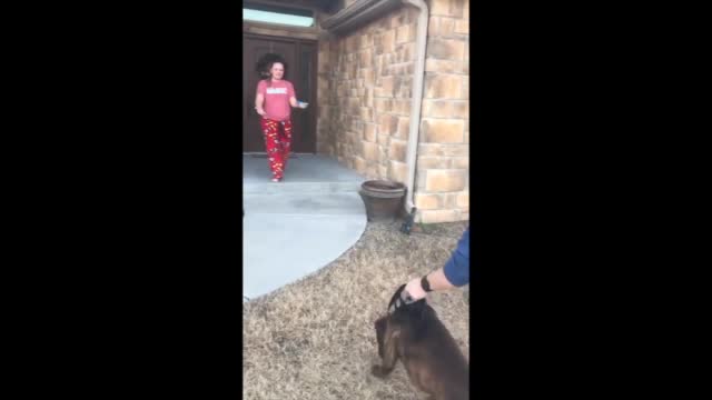 Dog Adoption Surprise