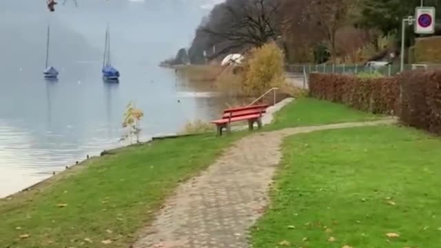 Take a stroll by the lake, the scenery is pleasant.