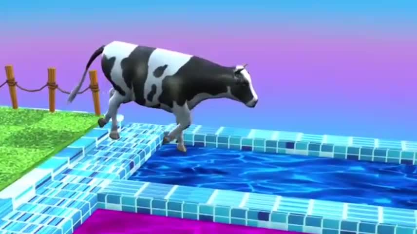 Fountain Crossing Cow Videos Animal Choose Correct Fountain Cortoon Game