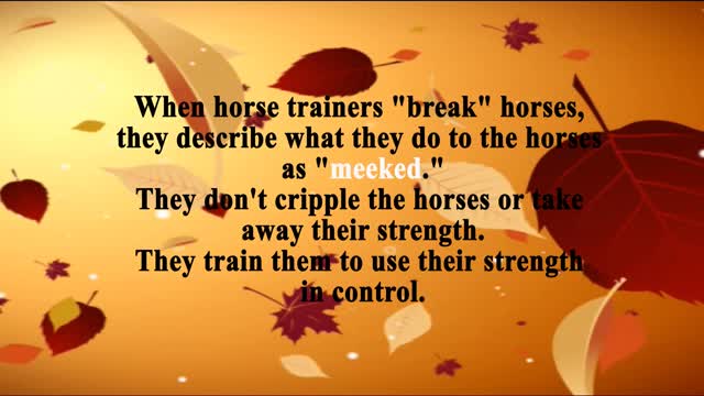 Thoughts For Today - December 17, 2020