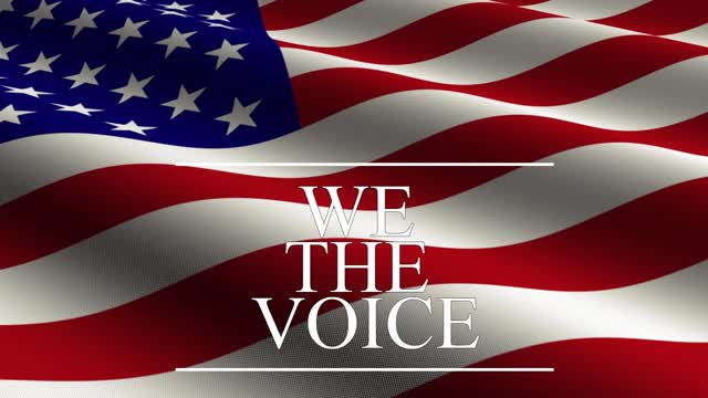 WE THE VOICE! Podcast Episode 8 - Fed Crashes and Stocks Soar