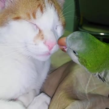 Some Funny & cute moments 😂😂