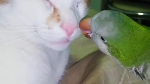 Some Funny & cute moments 😂😂