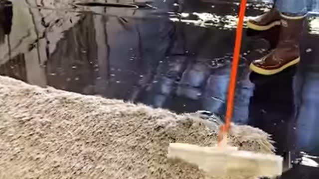 Today we're cleaning carpets 🧹💦