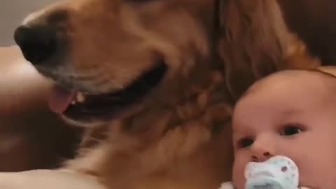 a baby with dog