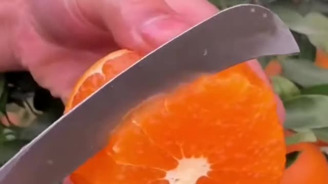 πππ₯Farm Fresh Ninja Fruit Cutting (Desi Satisfying Fruit Ninja) ππ₯Fruit Ideas | Amazing Fruits ππ