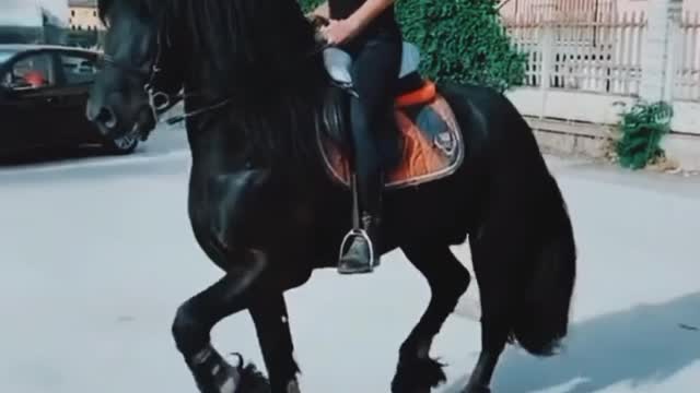 Horse riding