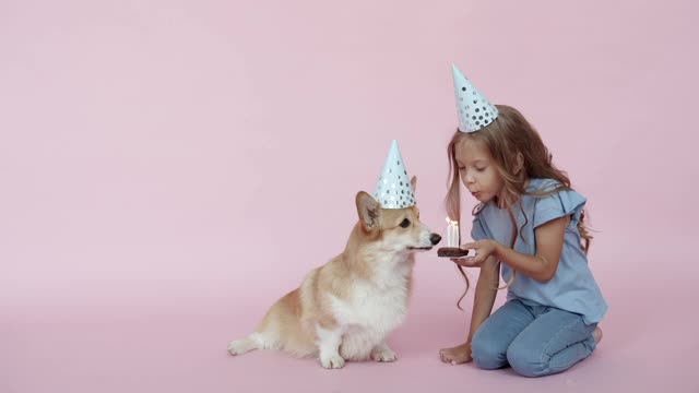 dogs birthday