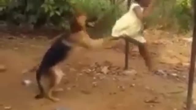 A DOG PUSHING A GIRL ON THE SWING