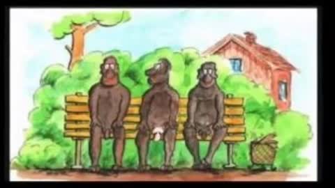 HILARIOUS Joke