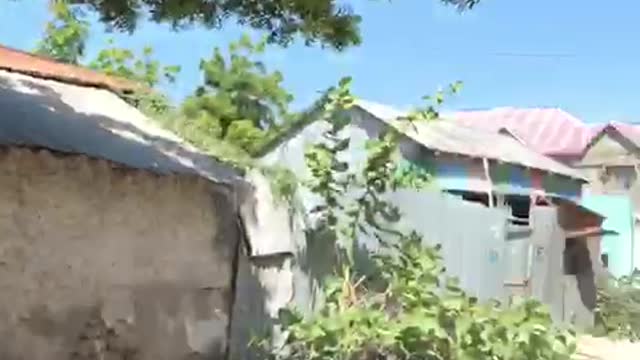 Waa hambalyo ka timid iidle