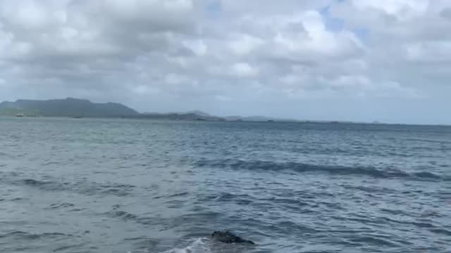 Paradise 🏖