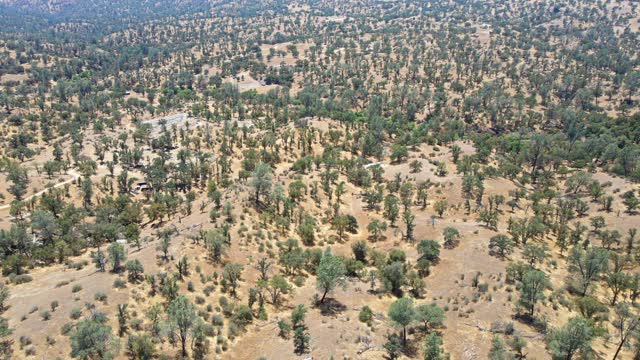 KB Moua Land Second 80 Acres Land