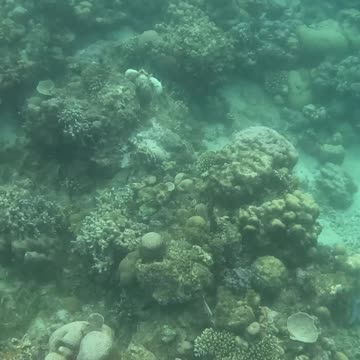 Perfect Day for a Snorkeling Adventure!