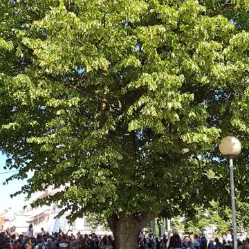 Riga Festival. Latvia