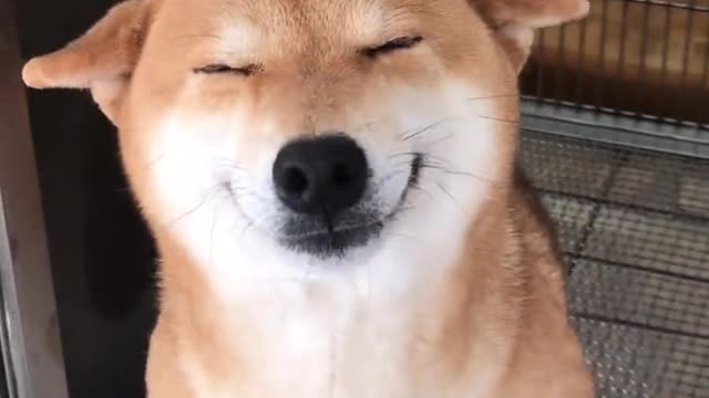 It's smiling at me, are we familiar?