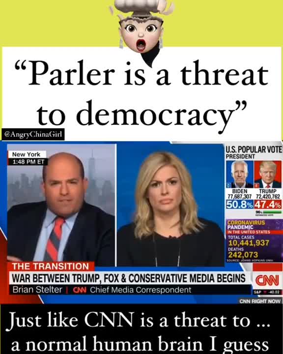 Politics - 2020 Big Tech Facebook and Fake News Parler Democracy Threat Funny