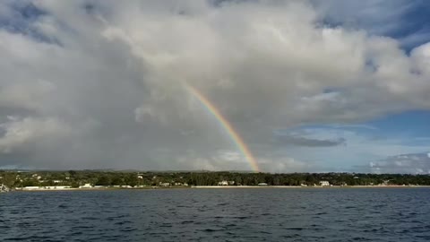 Barbados Rainbow