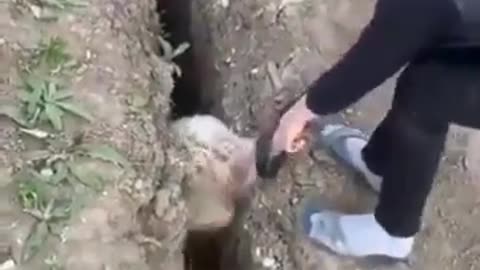 LITTLE KID HELP SHIP