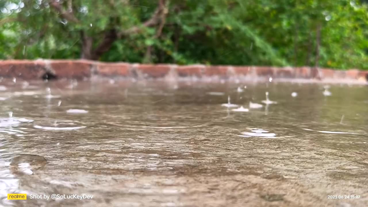 Sprinkling rain water