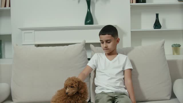 A boy caresses a dog while they are sitting on the sofa