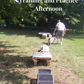 Ruff Cut PodCast: Raised Platform and Balance Beam part 4 afternoon training cut b