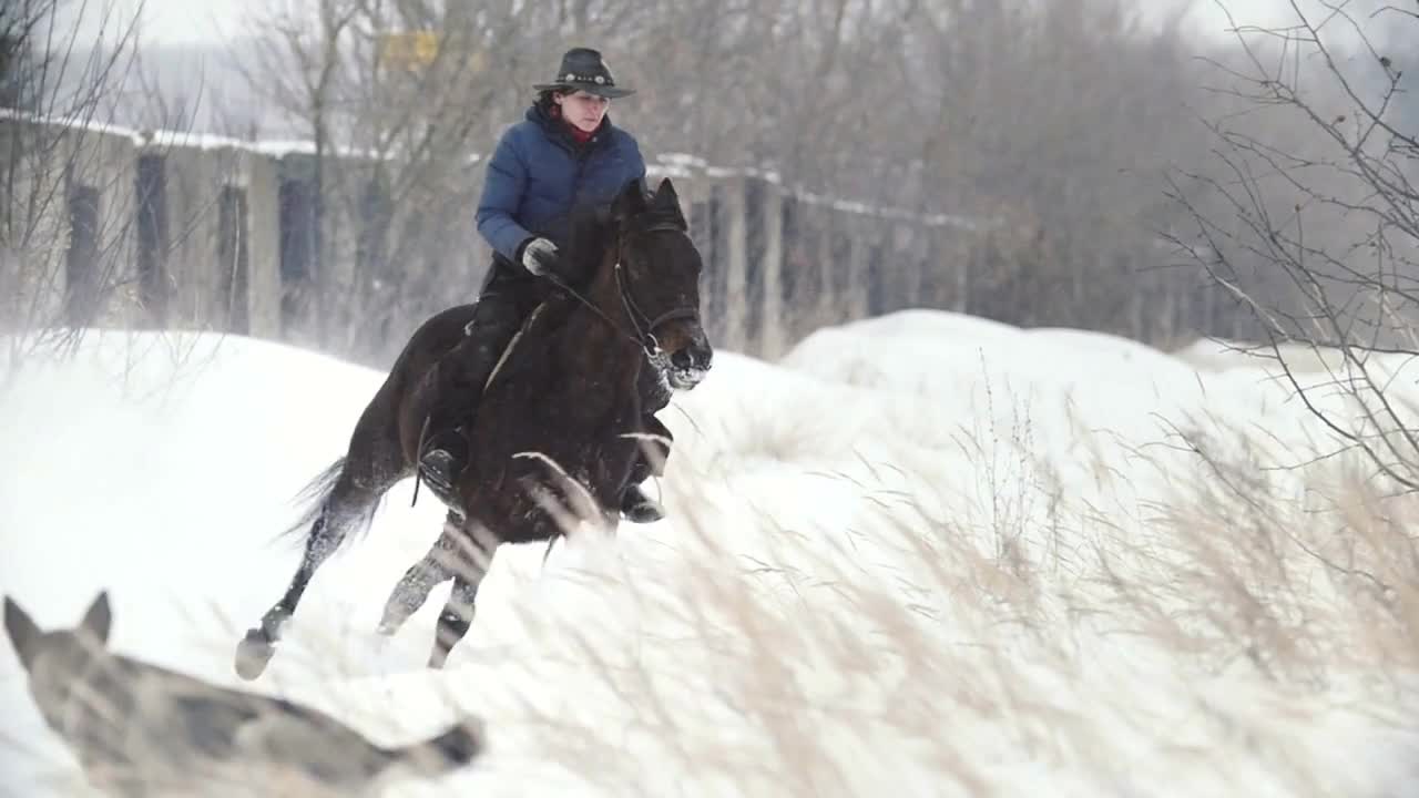 Equestrian sport - rider woman on fast horse galloping in snowy field