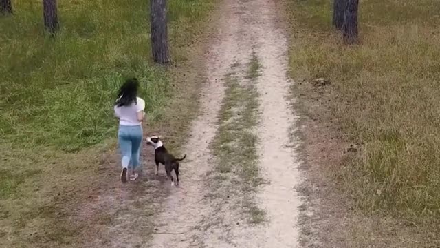 Dog Follows owner