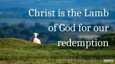 Christ is the Lamb of God for our redemption