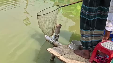 #rohufishing #reels #viral