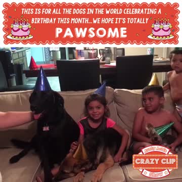 Aunty Acid Crazy Clip Show - Pawsome