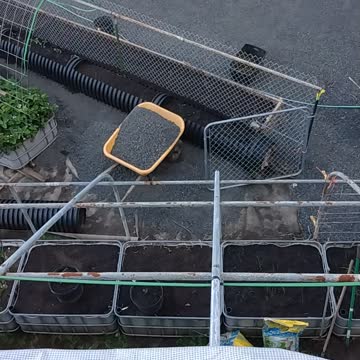 Garden view from top of barn