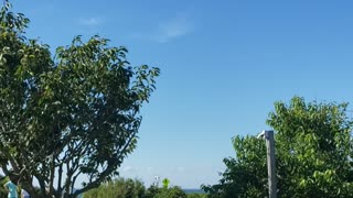 Montauk light house in ny