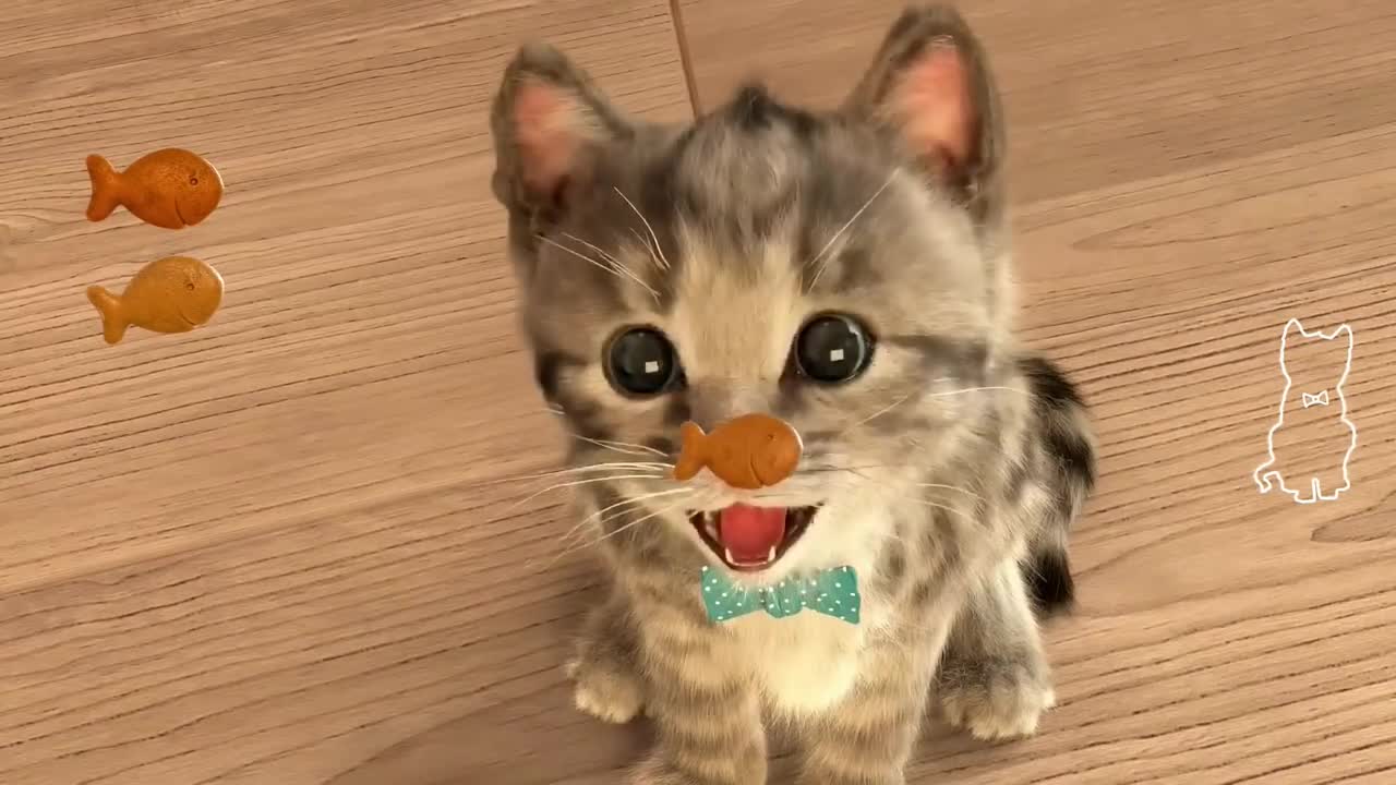 Little cat