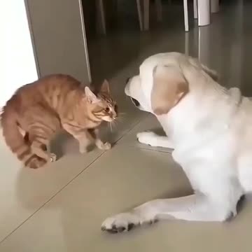 Let’s be friends together, Give me your hands